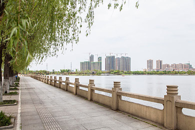 美女脱掉衣服,都市美女脱衣筹款，温暖贫困儿童-3