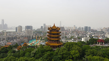 亚洲人日本人jlzzy,亚洲文化交流新篇章，青年才俊助力中日友谊