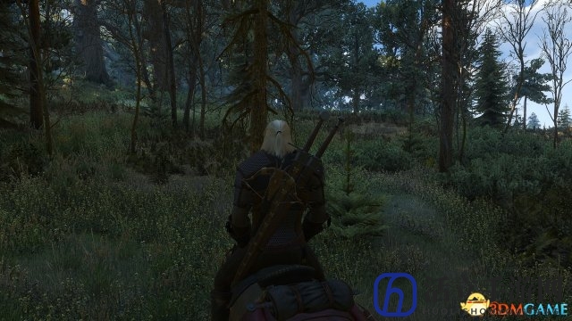 《巫师3》新MOD专注草坪 绿意盎然回归E3宣传水准