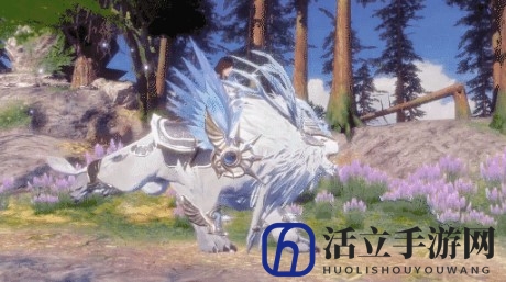 新神魔大陆魔宠装备怎么获得