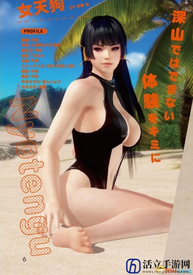 死或生：沙滩排球3