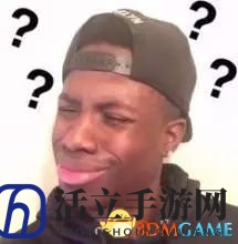 黑人问号脸